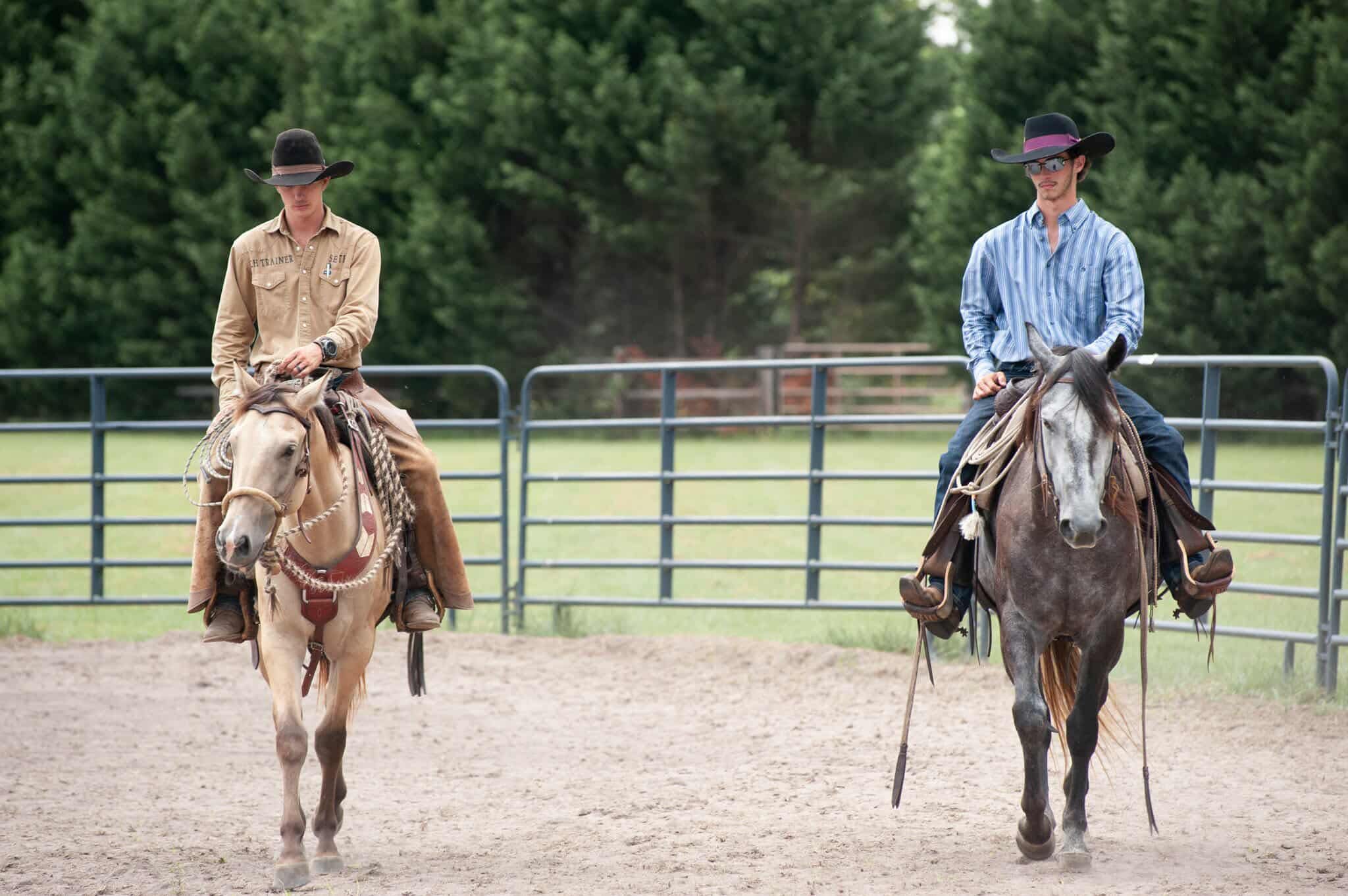 Building a bond with your horse