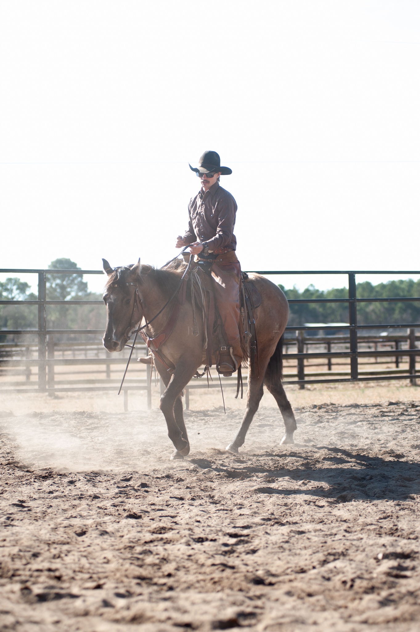 Building a bond with your horse