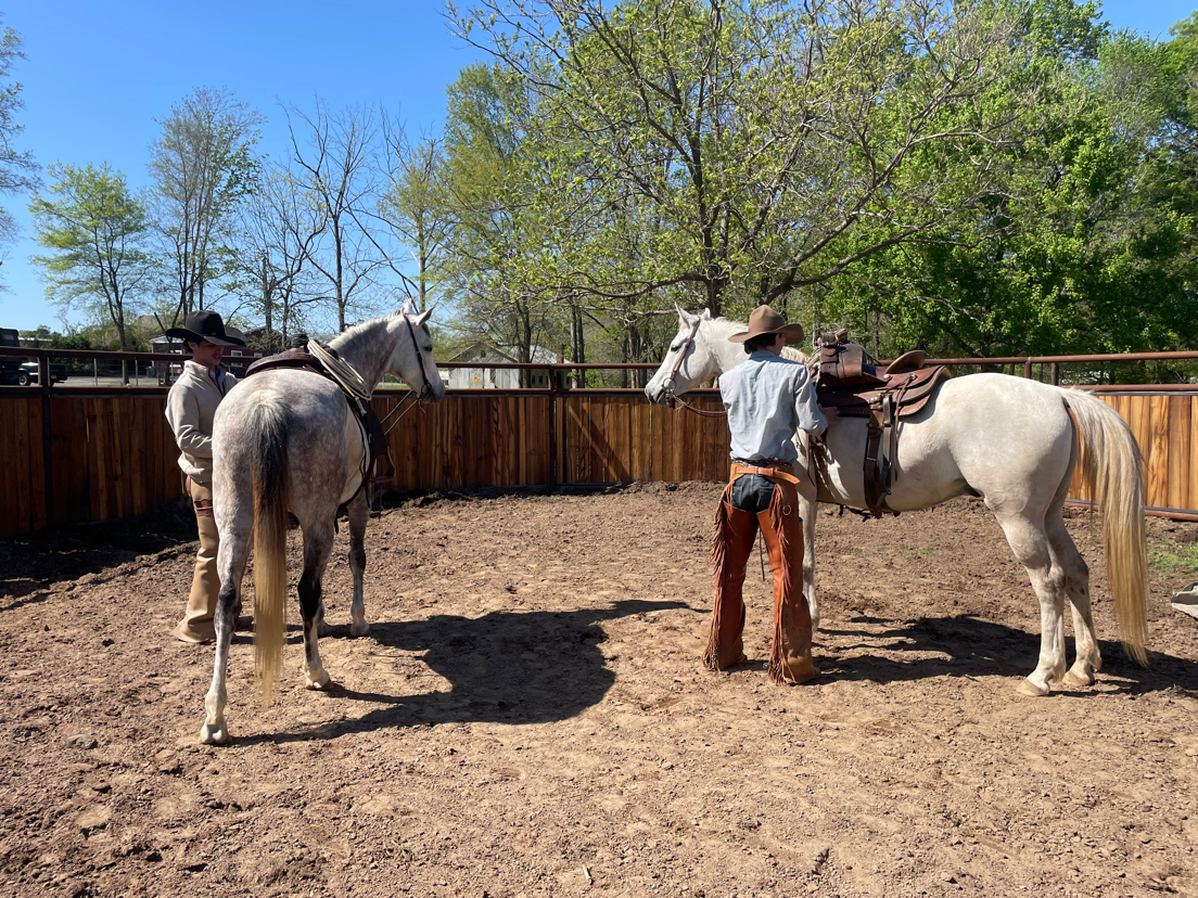 Building a bond with your horse